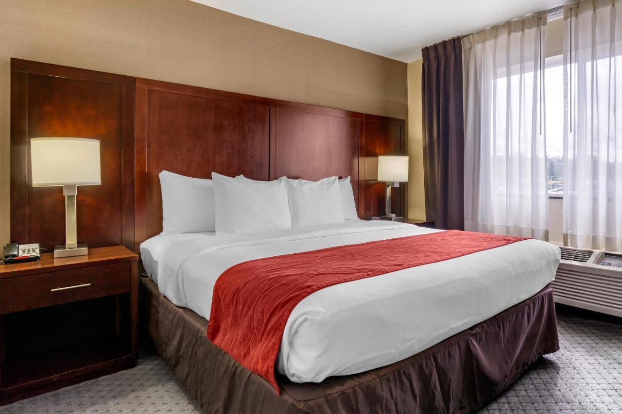 Comfort - Seattle 3*